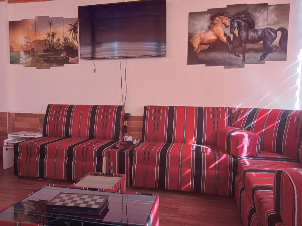 Petra Cabin Hostel Wadi Musa Extérieur photo